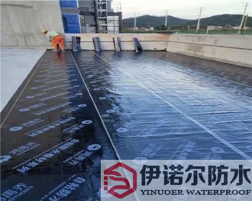 上海蘇州屋面防水